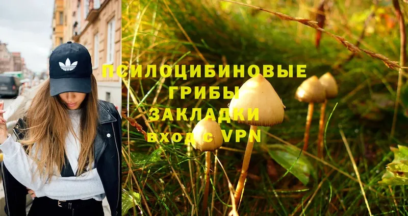 Галлюциногенные грибы Magic Shrooms  ОМГ ОМГ ССЫЛКА  Канаш  где купить  