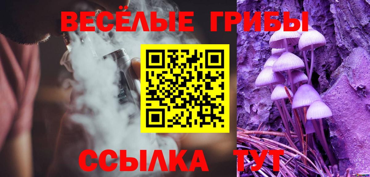 Галлюциногенные грибы прущие грибы  Вход с VPN  Канаш 