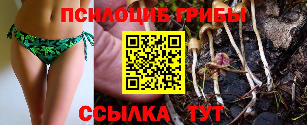 Псилоцибиновые грибы Psilocybine cubensis Канаш