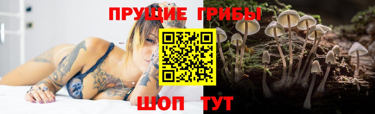 Галлюциногенные грибы Psilocybe  Канаш  купить   Псилоцибиновые грибы Magic Shrooms 